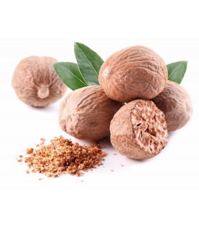 Nutmeg Grain - 100% Quality - Ruca - Oriental Spices