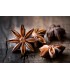 Star Anise / Badiana - Oriental spices - Ruca - 50