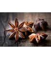 Anis Estrelado / Badiana - Especiarias Orientais - Ruca - 50gr