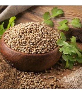 Cilantro en Grano - Selección especias Oriente - Ruca