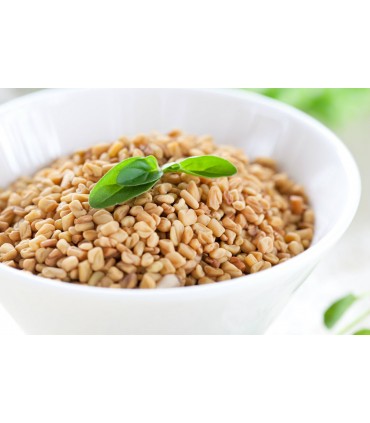 Fenugreek seeds - Fenugreek - 170 gr.