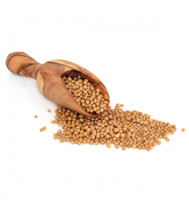 Yellow Mustard in Grains - Selection of Spices from the East - Ruca - 1Kg