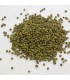 Green Peppercorns - Selection of Eastern Spices - Ruca