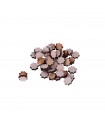 Confezione x10 Stelle in Legno - 8 Punte - Diametro 12 mm