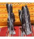 Fossil Ortoseras Tower - Altura 25 cm - NEW