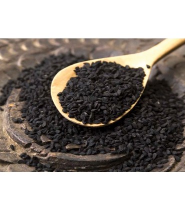 Ajenuz - Semilla Negra Medicinal - Nigella Sativa - Jabba Sawda