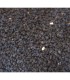 Ajenuz - Semilla Negra Medicinal - Nigella Sativa - Jabba Sawda
