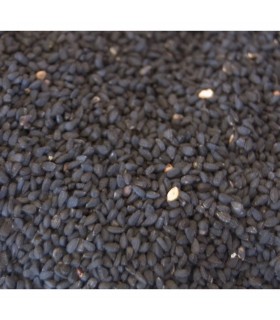 Schwarzkümmel - medizinische schwarzen Samen - Nigella Sativa - Jabba Sawda