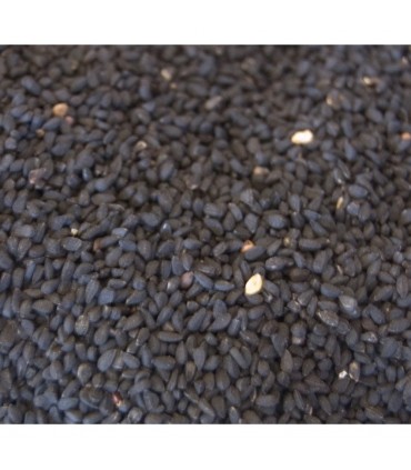 Ajenuz - Semilla Negra Medicinal - Nigella Sativa - Jabba Sawda