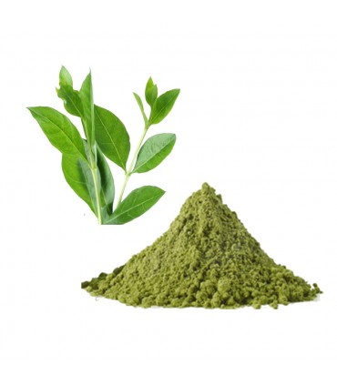 Henna Natural - Bulk - von 100 g - natürliche rötliche Farbe