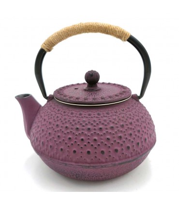 Théière Fonte Style Japonais Diverses Couleurs 600 ML