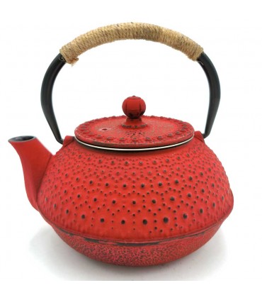 Teiera in ghisa in stile giapponese vari colori 600 ML