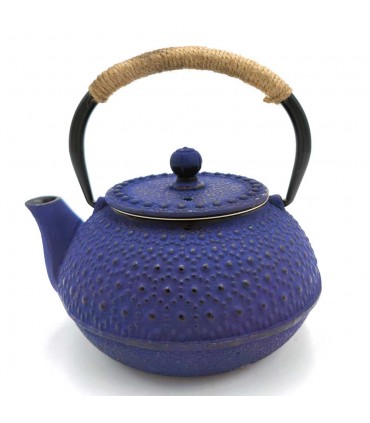 Teiera in ghisa in stile giapponese vari colori 600 ML