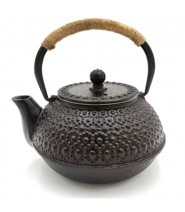 Teiera in ghisa in stile giapponese vari colori 600 ML