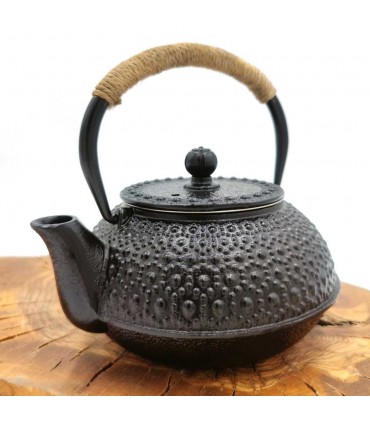 Tetera Hierro Fundido Estilo Japonesa Tetsubin con infusor inoxidable Varios Colores 600 ML