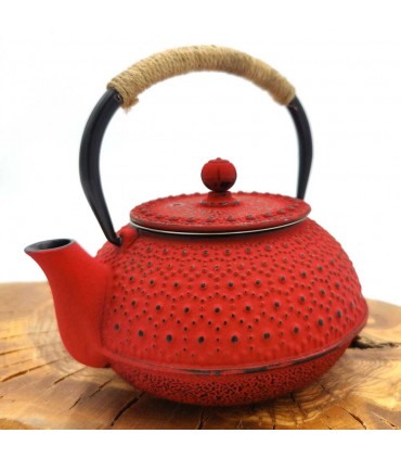 Tetera Hierro Fundido Estilo Japonesa Tetsubin con infusor inoxidable Varios Colores 600 ML