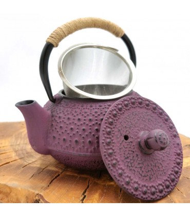 Teiera in ghisa in stile giapponese vari colori 600 ML