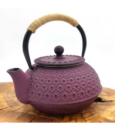 Tetera Hierro Fundido Estilo Japonesa Tetsubin con infusor inoxidable Varios Colores 600 ML