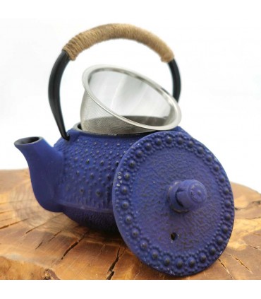 Teiera in ghisa in stile giapponese vari colori 600 ML