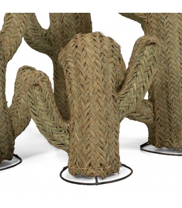 Cactus Decorativo di Fibra Vegetale 100% Naturale ed Ecologico Biodegradabile Modello Iabisun