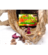 Mild Bar Soap with Barbaric Oil Prickly Pear Cactus Figamine