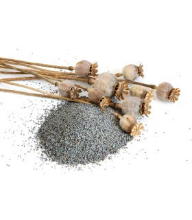 Poppy seed - 1Kg - Natural
