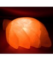Candela foglio sale titolare - Himalayan naturale - lordo - Feng Shui