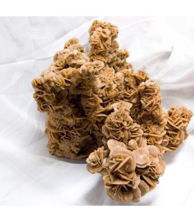 Rosa del deserto del gigante - pezzo unico - Sahara