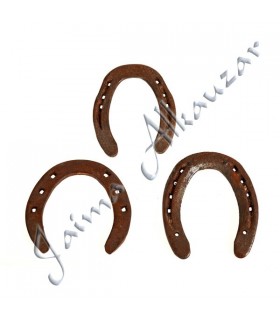 Big Lucky horseshoe and Health - Ideal Gift - NEW