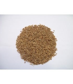 Anis - in-Korn-hohe Qualität - 200 gr
