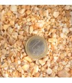 Incienso Benjui en Grano 25 gr