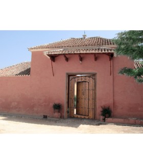 Puerta Morisca Aljibe - Alto Standing - Inspirado Alhambra