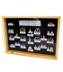 Shark Teeth Fossil Collection - 45 - 70 Millionen Jahre - Glasvitrine