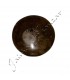 Polished Fossil Ammonite - 5 cm - Sahara Desert - NEW