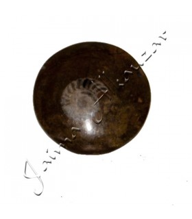 Amonite Fósil Pulido - 5 cm - Desierto del Sáhara - NOVEDAD