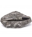 Original Fossil Ortosera - Polished Model - Sahara Desert