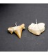 Dent de requin fossilisée - équerre de suspension - Désert du Sahara - 450 millions d'années