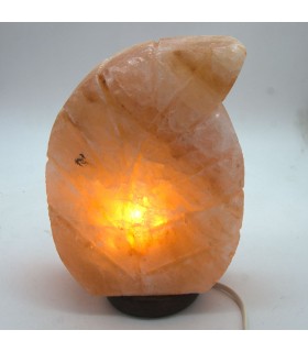 Lampada di sale dell'Himalaya - Modello Foglia