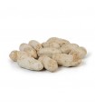Arachide au sel - Noix - (1Kg.)