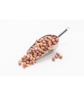 Speziell geröstete Erdnüsse oder Erdnüsse - Nüsse - (1 kg)